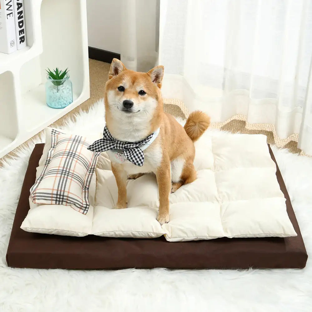 All-in-One Multifunktionales wasserabweisendes Komfort-Hundebett mit Kissen