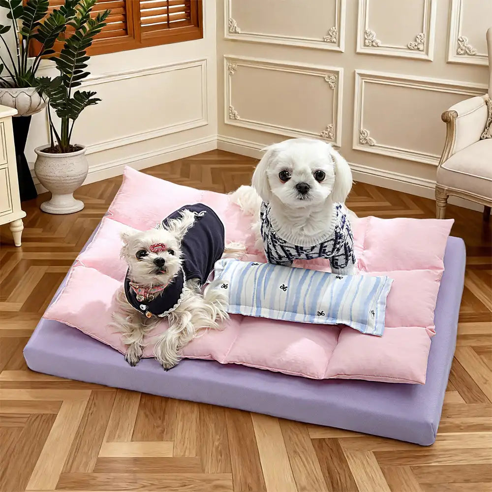 All-in-One Multifunktionales wasserabweisendes Komfort-Hundebett mit Kissen