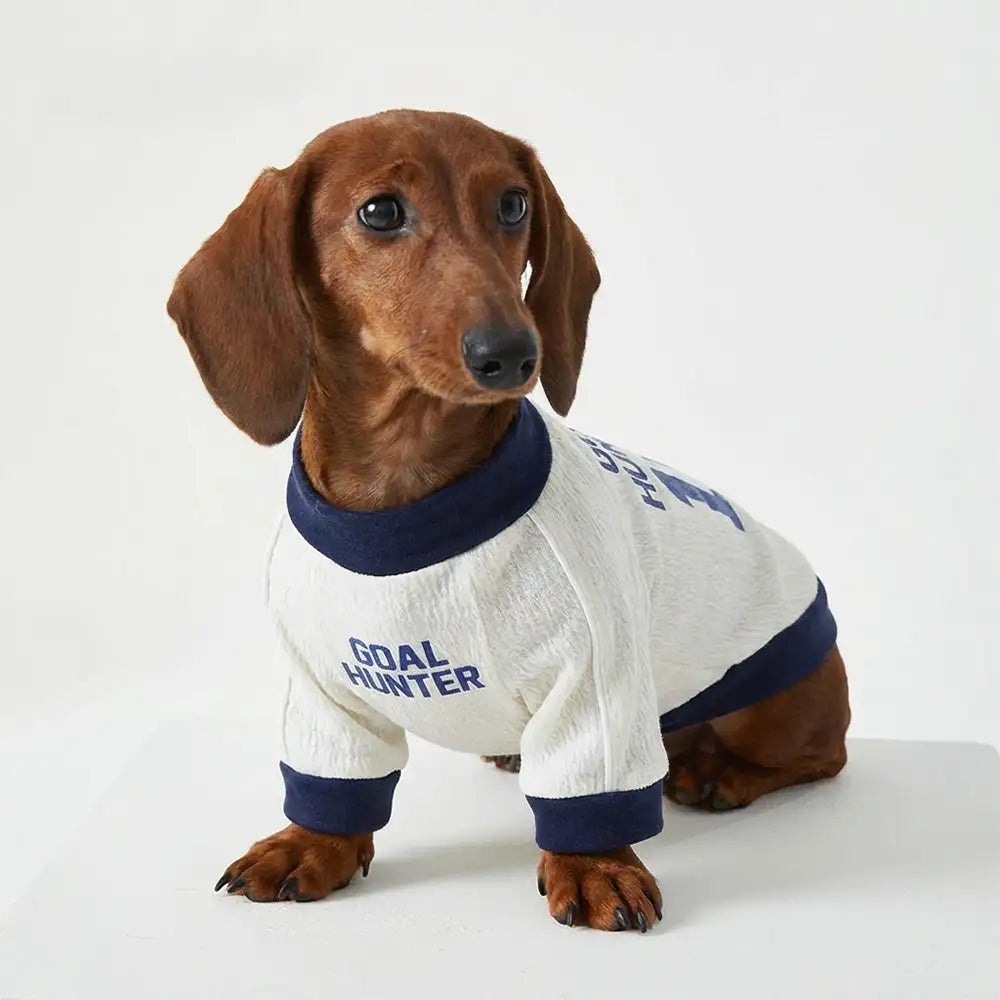 Atmungsaktives dünnes Welpen-Crewneck-T-Shirt