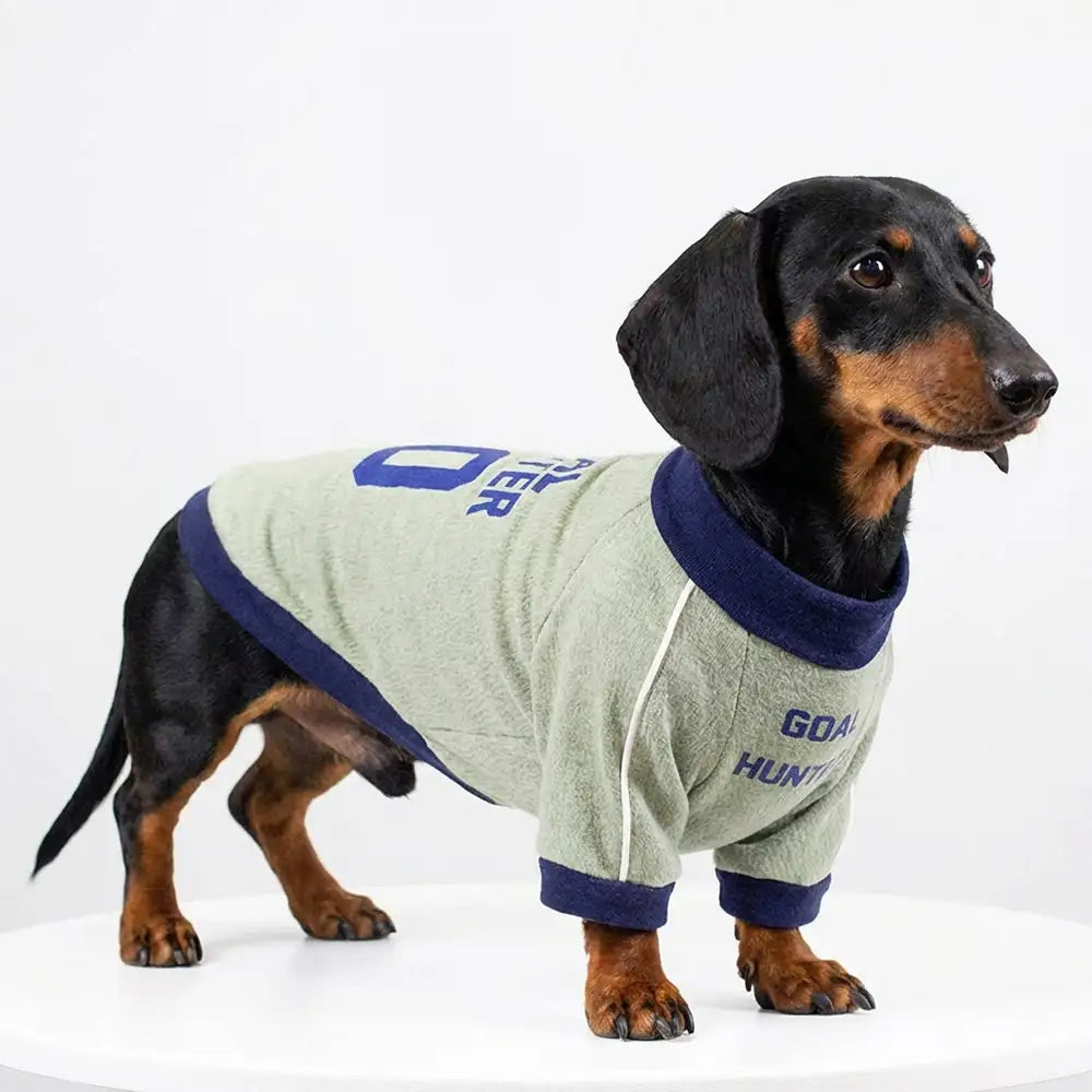 Atmungsaktives dünnes Welpen-Crewneck-T-Shirt