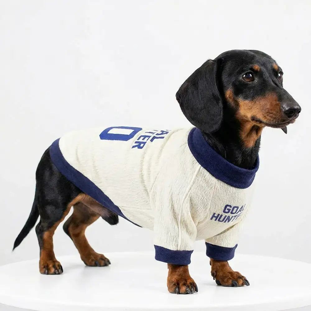 Atmungsaktives dünnes Welpen-Crewneck-T-Shirt