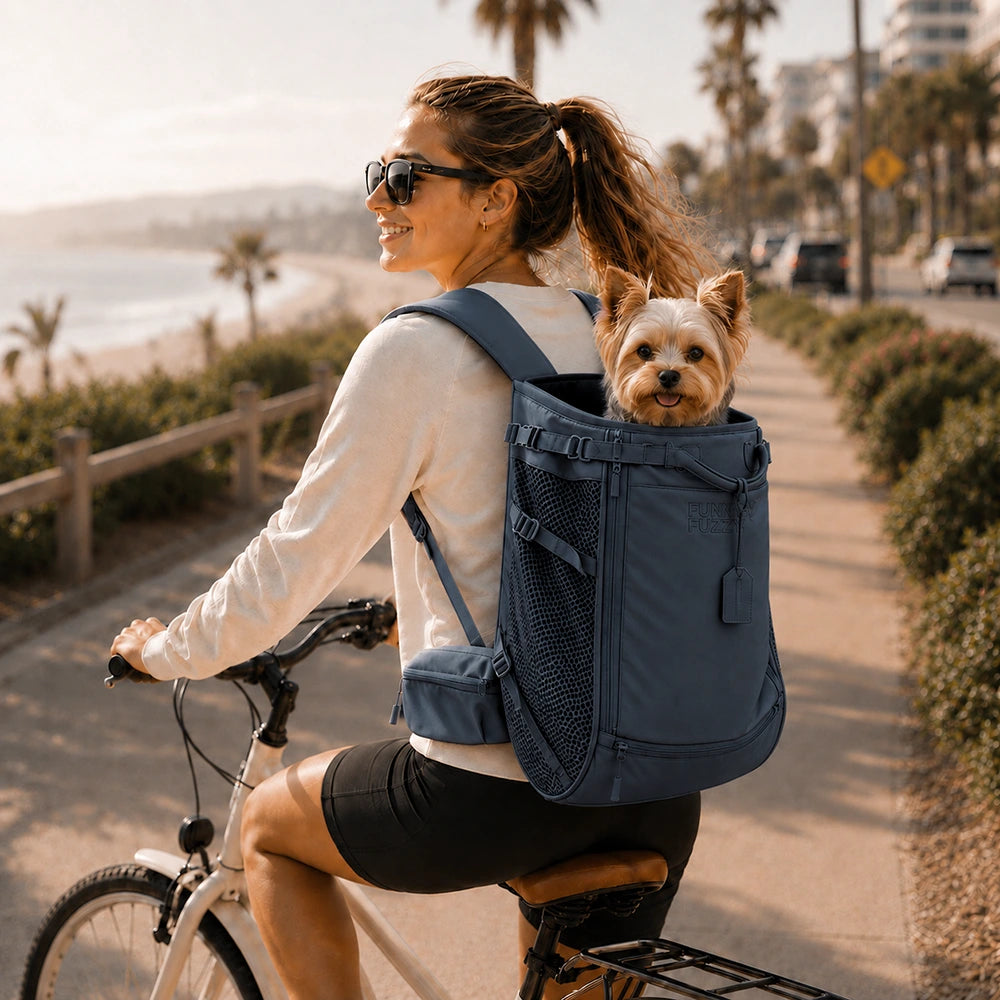 Hundetransport-Rucksack - Urbanes Herumstreifen