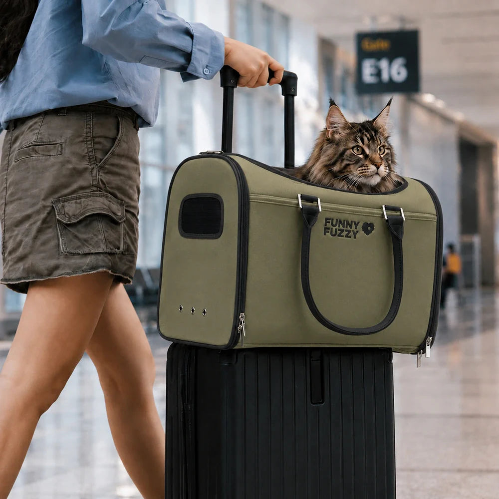 Katze Airline-konforme weiche Trageboxen - Urbanes Herumwandern