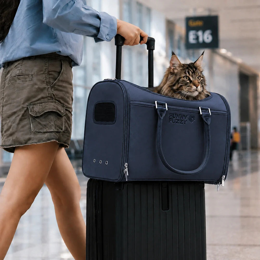 Katze Airline-konforme weiche Trageboxen - Urbanes Herumwandern