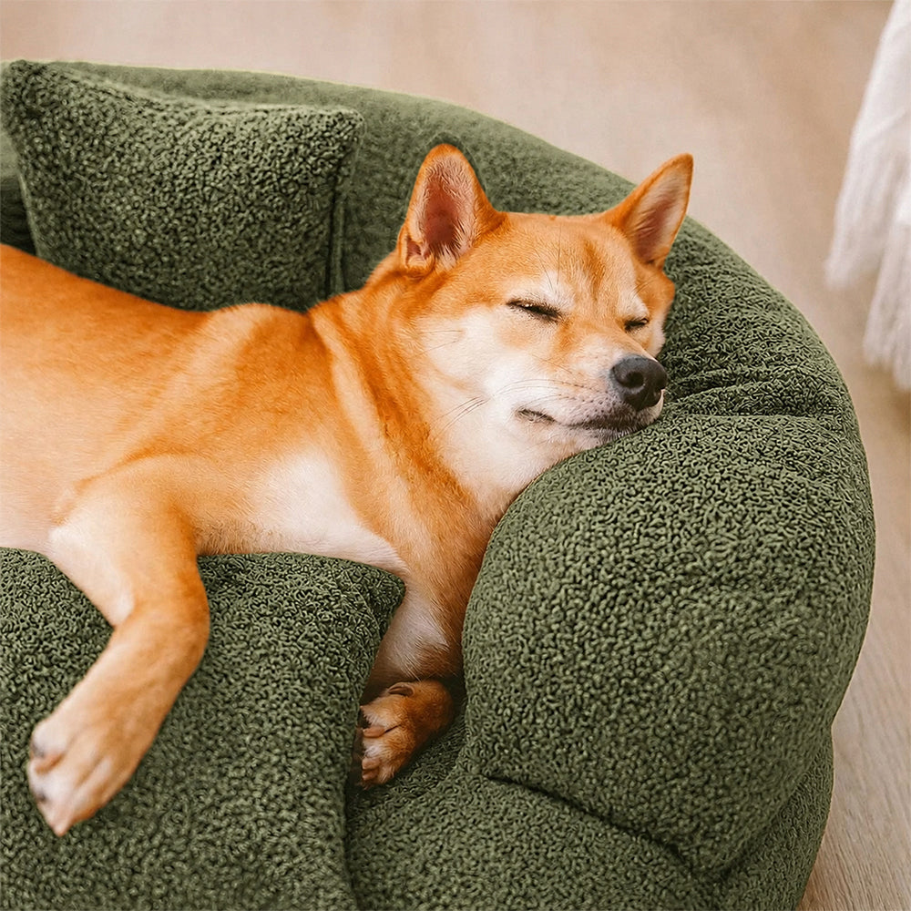 Luxe Diamond Velvet Abnehmbares Orthopädisches Donut-Hundebett mit Kissen - DreamNest