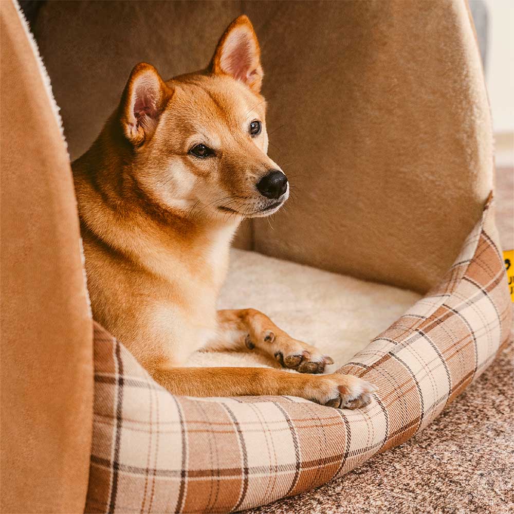 Klassisches Plaid-Haus orthopädisches Hundebett - Rückzugshütte