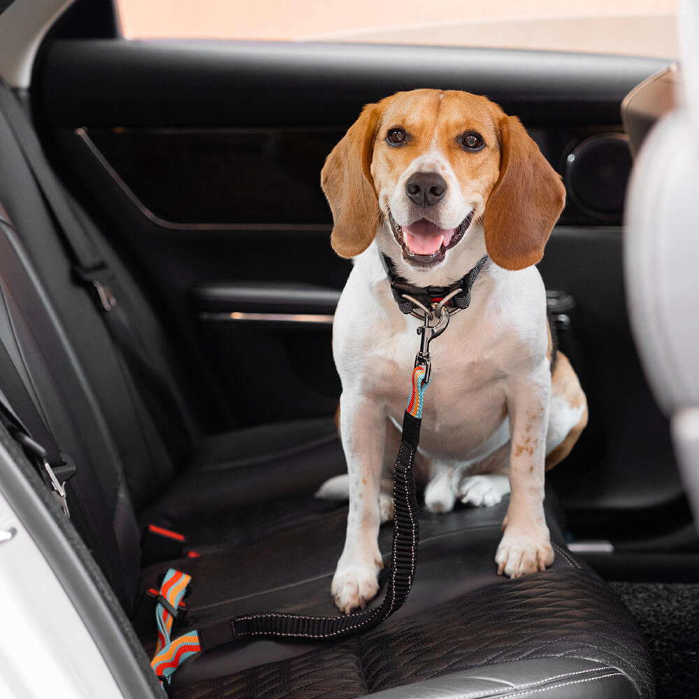 Bunter Buffer Verstellbarer Cooler Hunde-Sicherheitsgurt fürs Auto