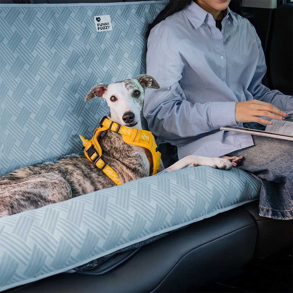 Kühlende Reise-Stütze Sicherheitsrücksitz Großer Hund Autositzbett - Chill Rover