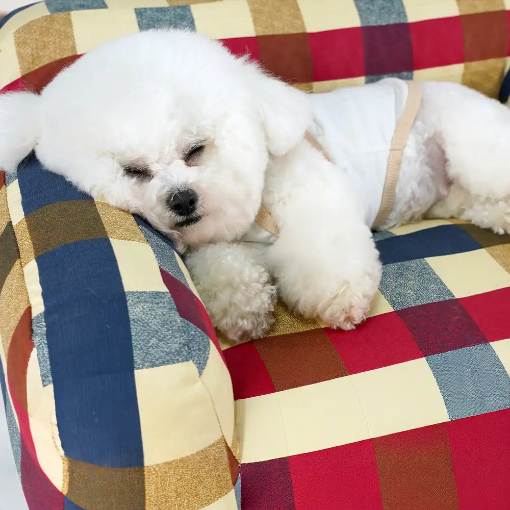 Baumwoll-Canvas-Stoff atmungsaktiv kratzfestes Hundesofa-Bett
