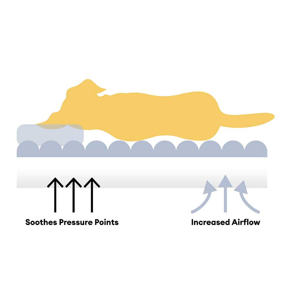 Cremefarbenes Plüschiges Supergroßes Donut-Hundebett – Kuschelwiege