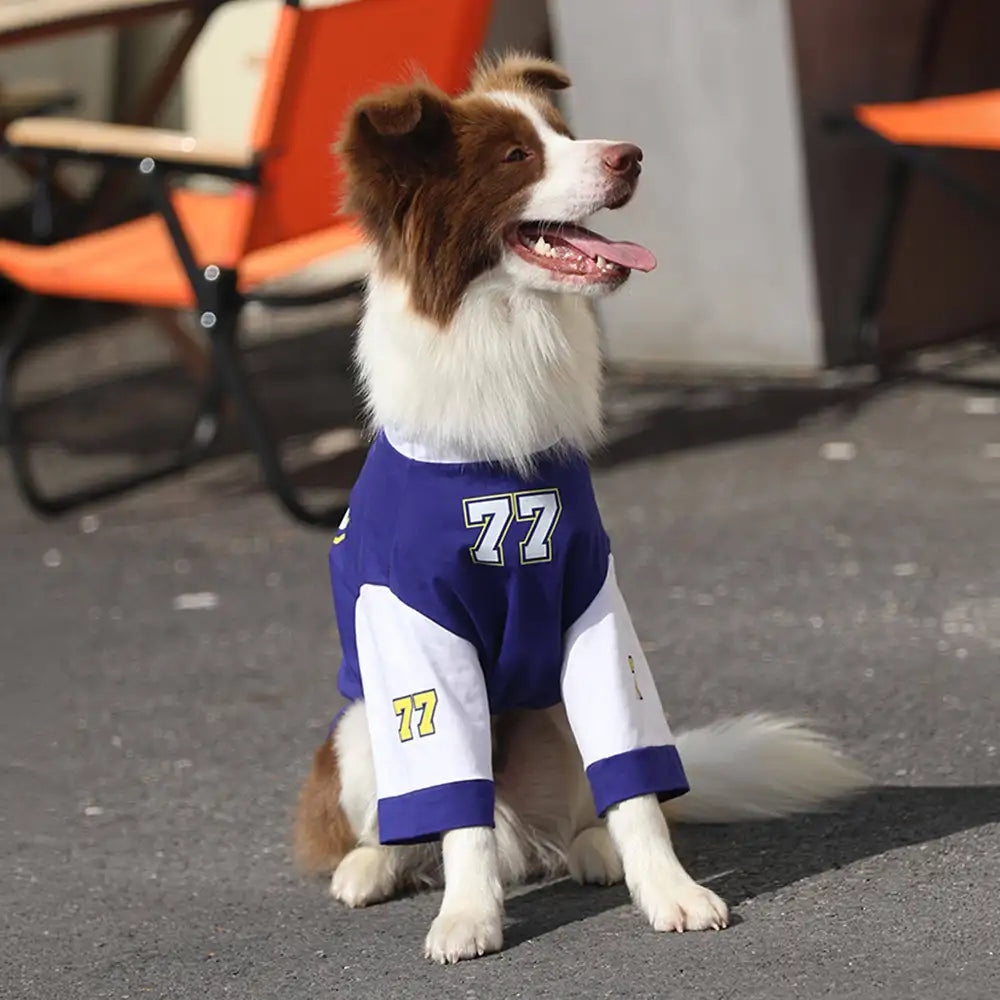 Crew-Neck Atmungsaktives Waschbares Hund T-Shirt für alle Rassen