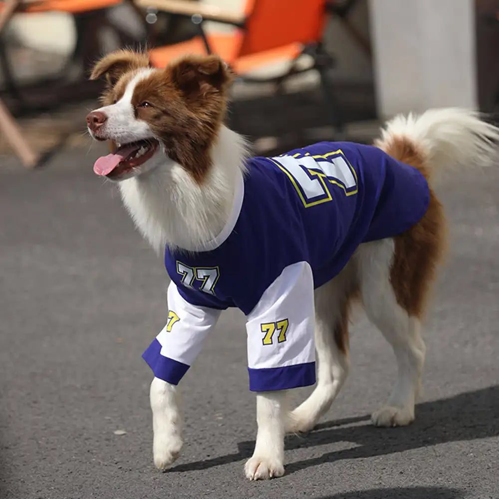 Crew-Neck Atmungsaktives Waschbares Hund T-Shirt für alle Rassen