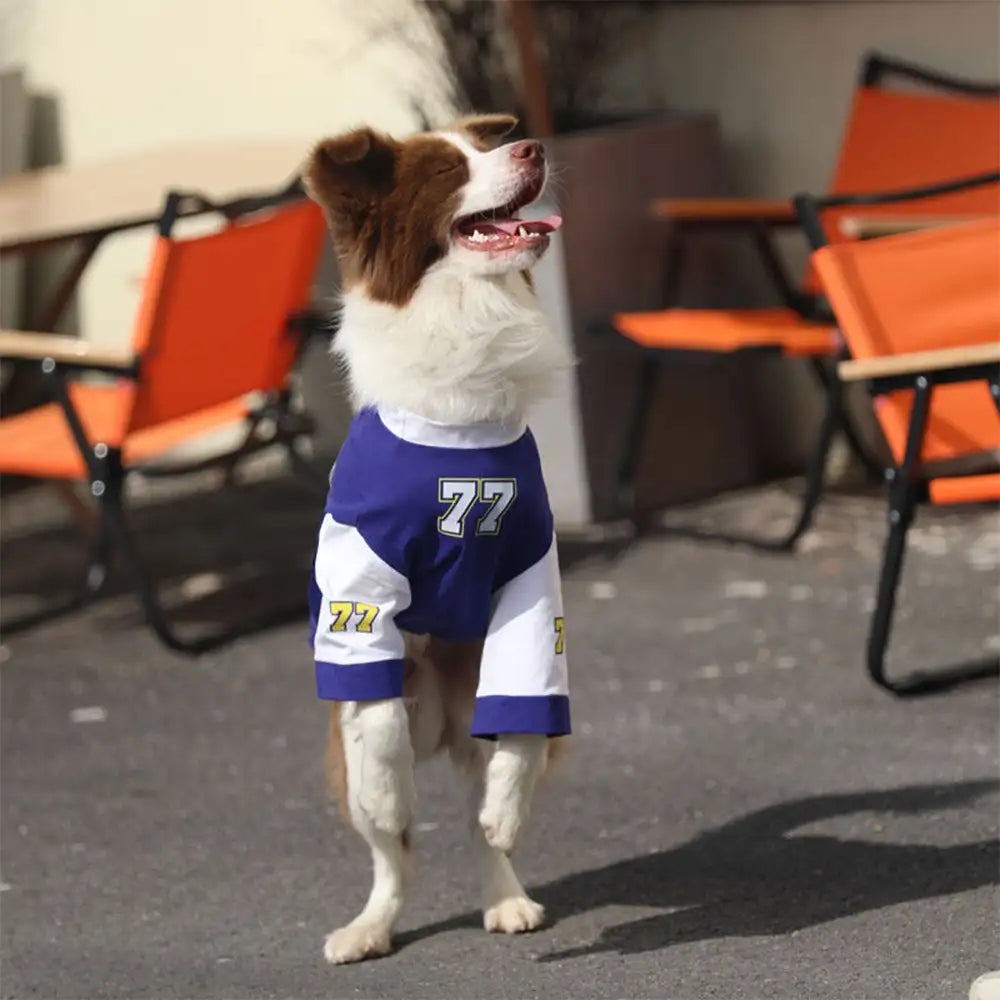 Crew-Neck Atmungsaktives Waschbares Hund T-Shirt für alle Rassen