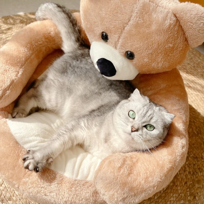 Süßes Abnehmbares Kuschelbär-Haustierbett