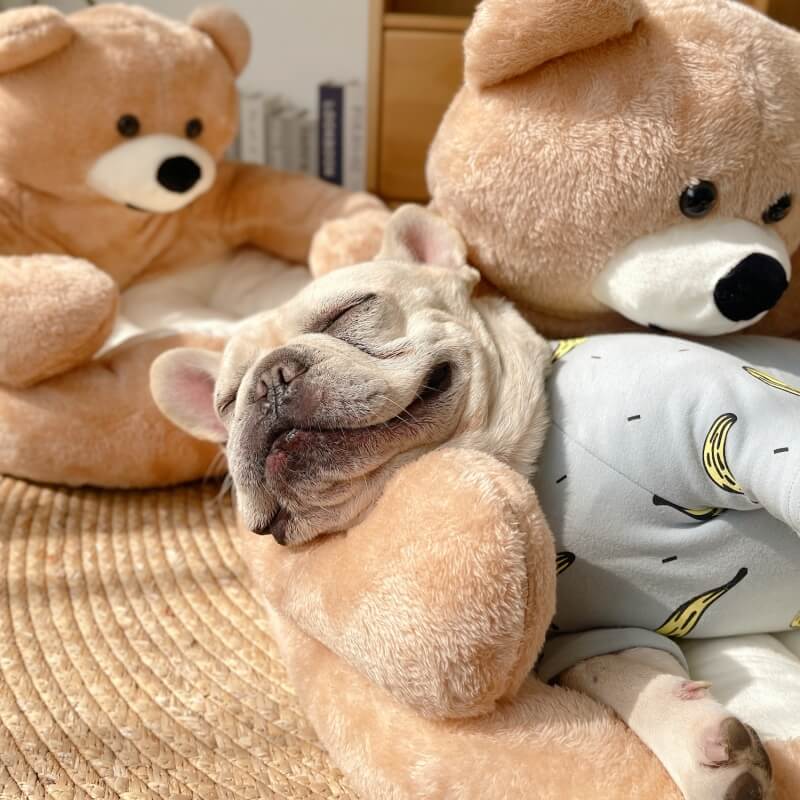 Süßes Abnehmbares Kuschelbär-Haustierbett