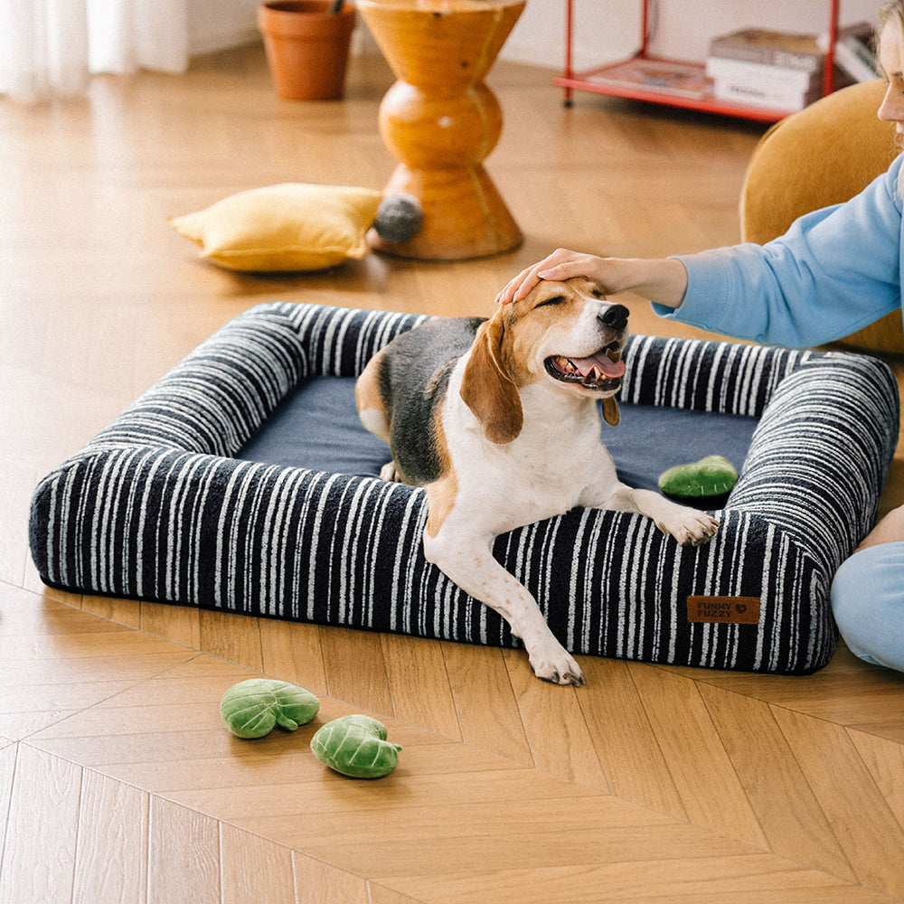 Orthopädisches ganzjahres Memory Foam Hundebett - Funnyfuzzy SnugNest