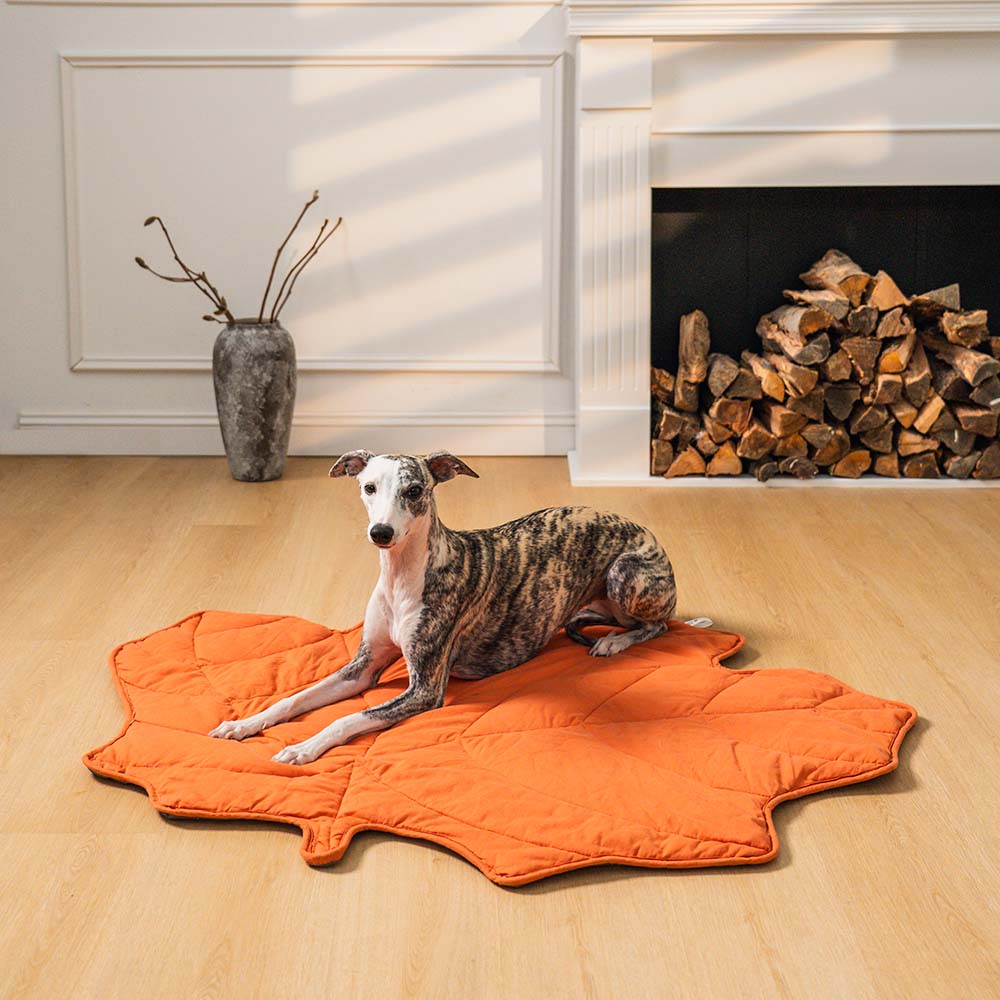 Hochwertige und dekorative Hundedecke in Blattform