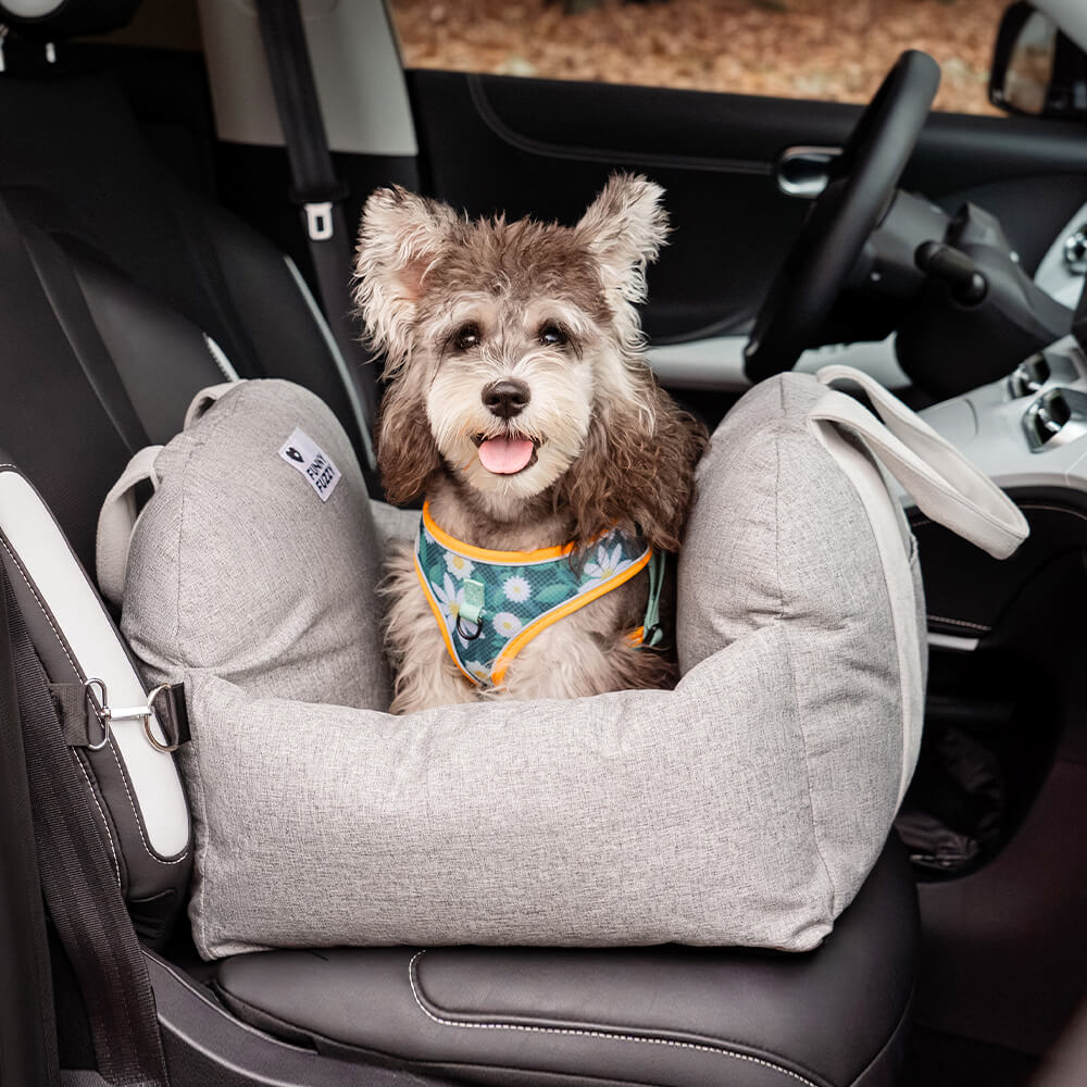 Sicheres Abnehmbares Hunde-Autositzbett | Erste Klasse