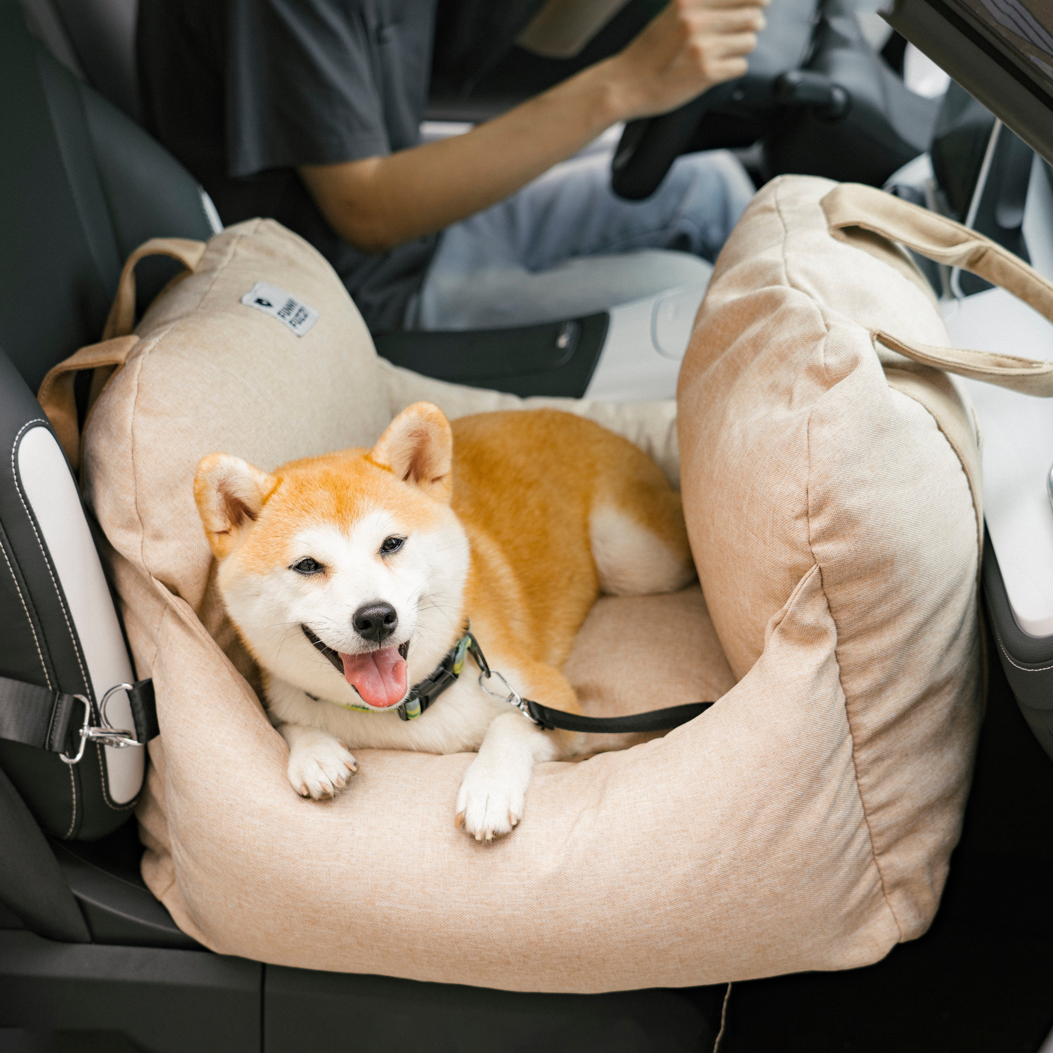 Sicheres Abnehmbares Hunde-Autositzbett | Erste Klasse