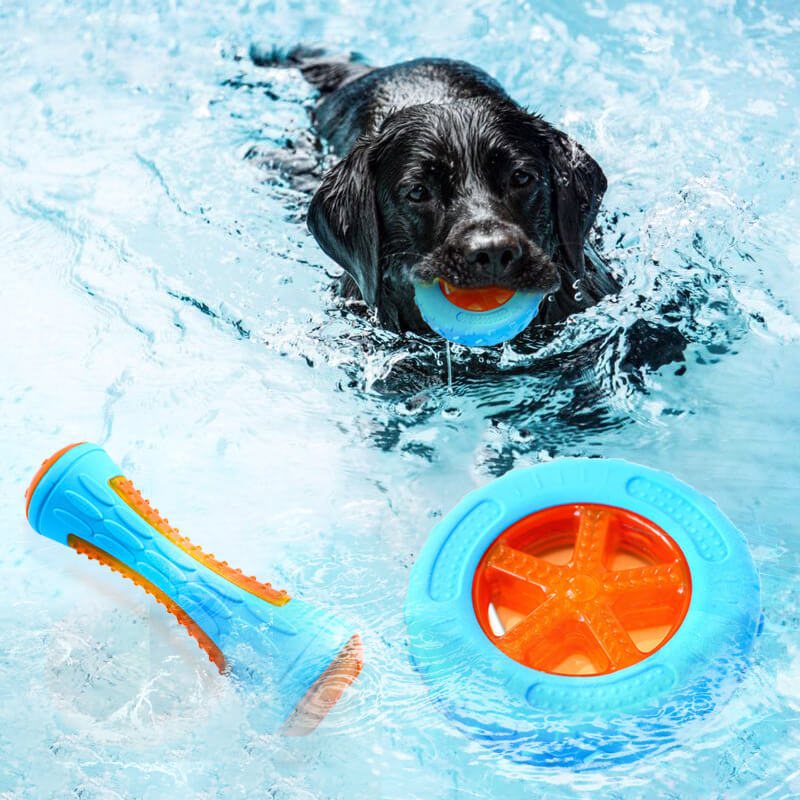 Interaktives Kauspielzeug für Hunde Achwimmendes Wasserspielzeug für den Außenbereich