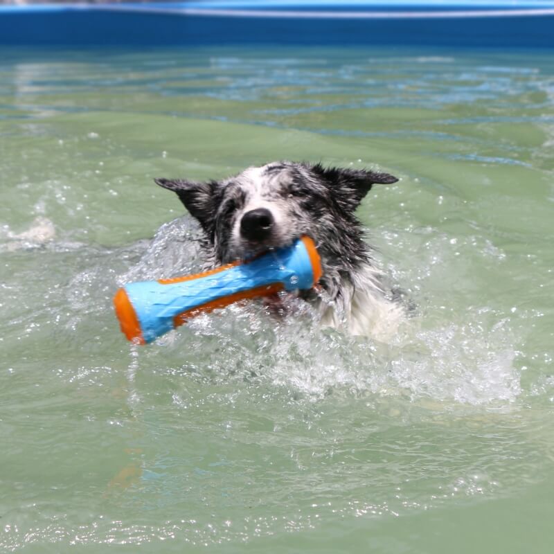 Interaktives Kauspielzeug für Hunde Achwimmendes Wasserspielzeug für den Außenbereich