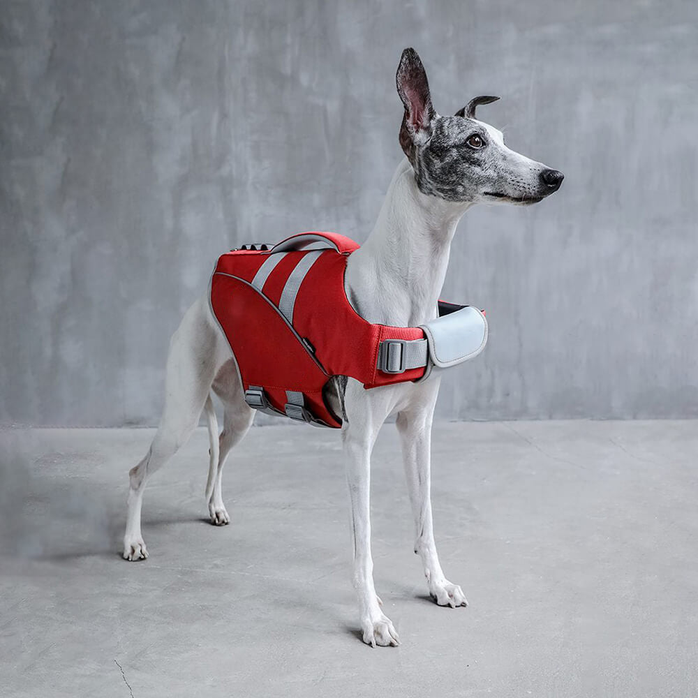 Hunde-Rettungsweste - Lifeguard