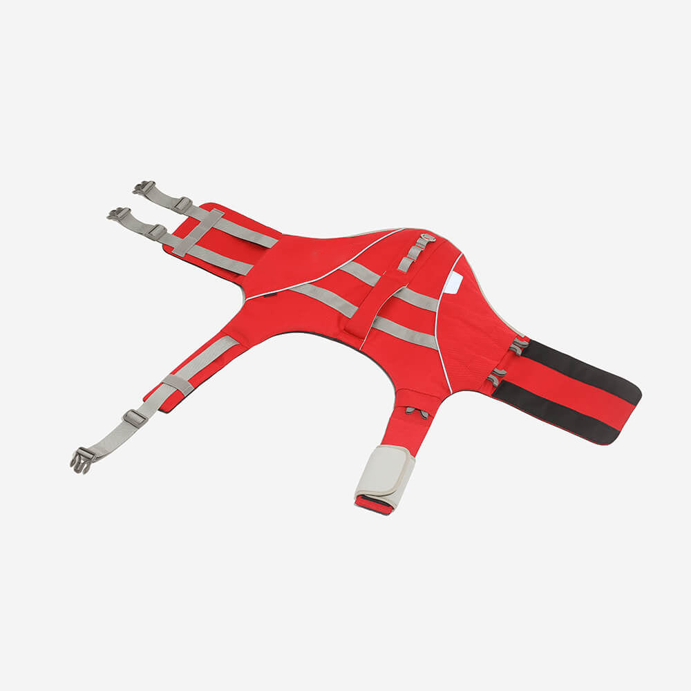 Hunde-Rettungsweste - Lifeguard