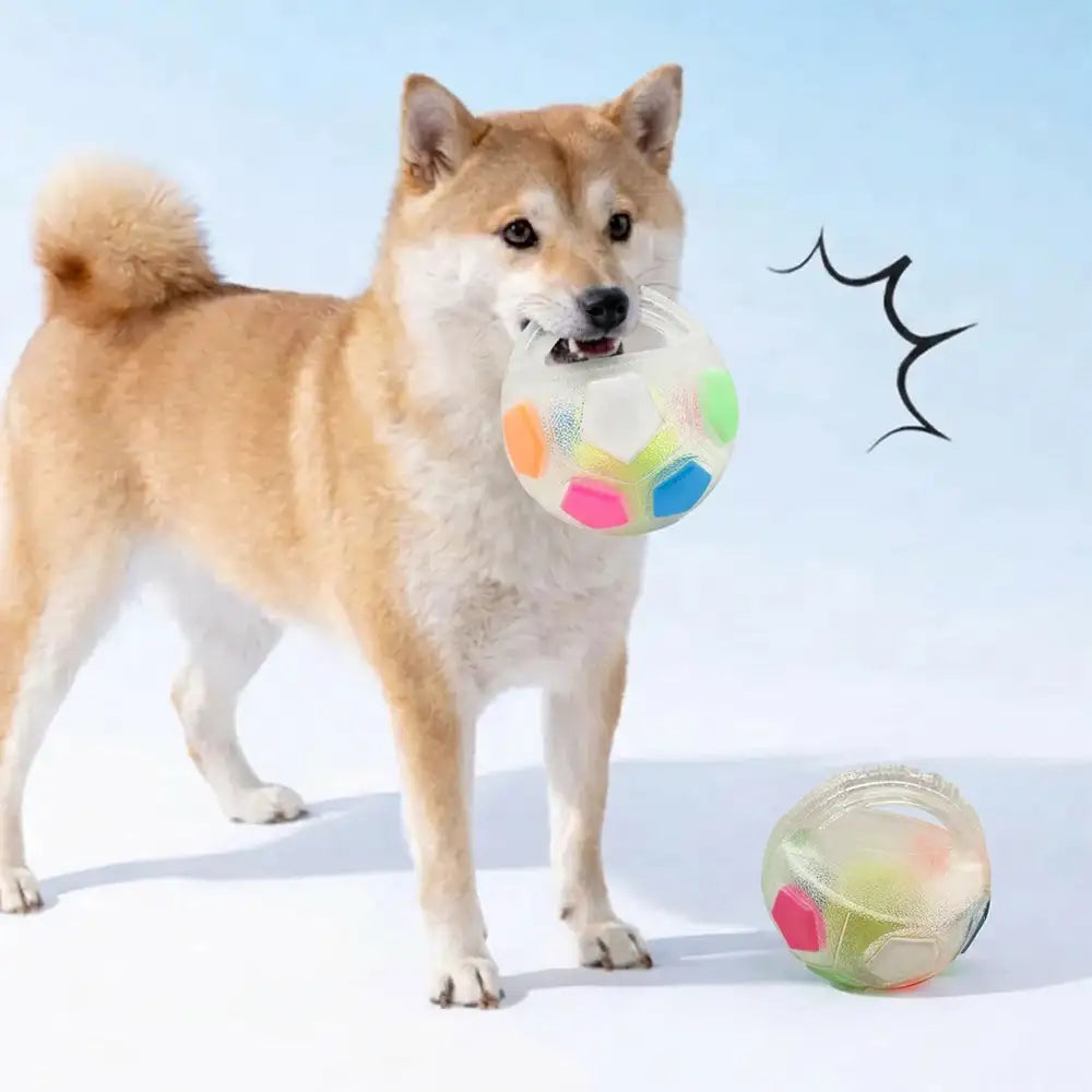 Hundesoccerball mit Griff schwimmendes Kauspielzeug