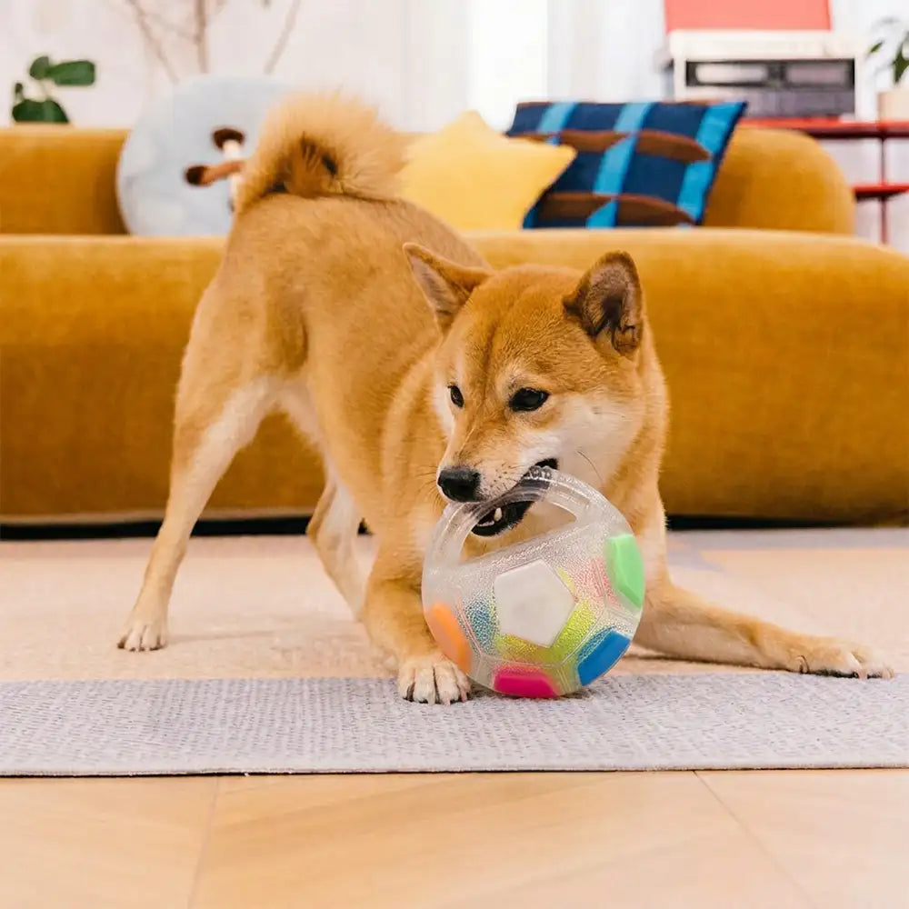 Hundesoccerball mit Griff schwimmendes Kauspielzeug