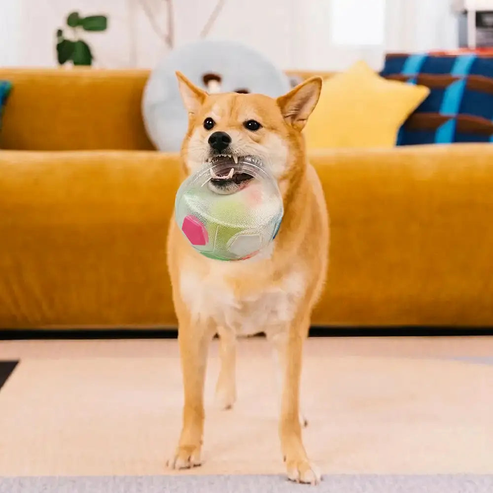 Hundesoccerball mit Griff schwimmendes Kauspielzeug