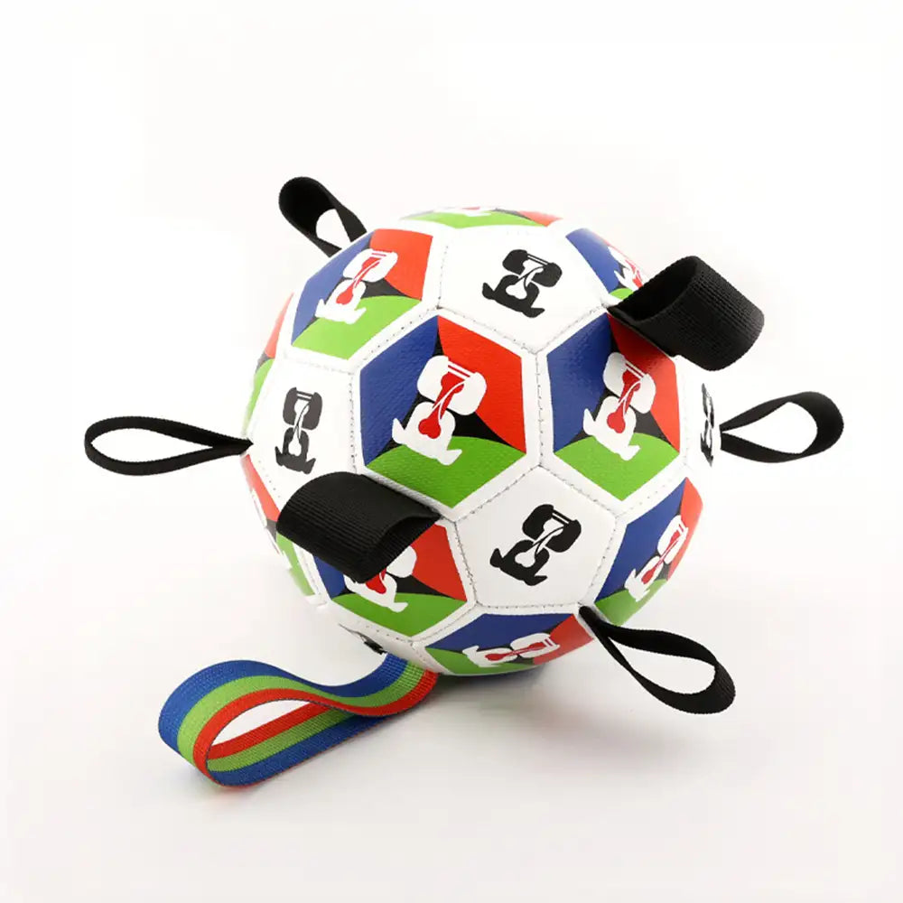 Hundesoccerball mit Riemen interaktives Spielzeug