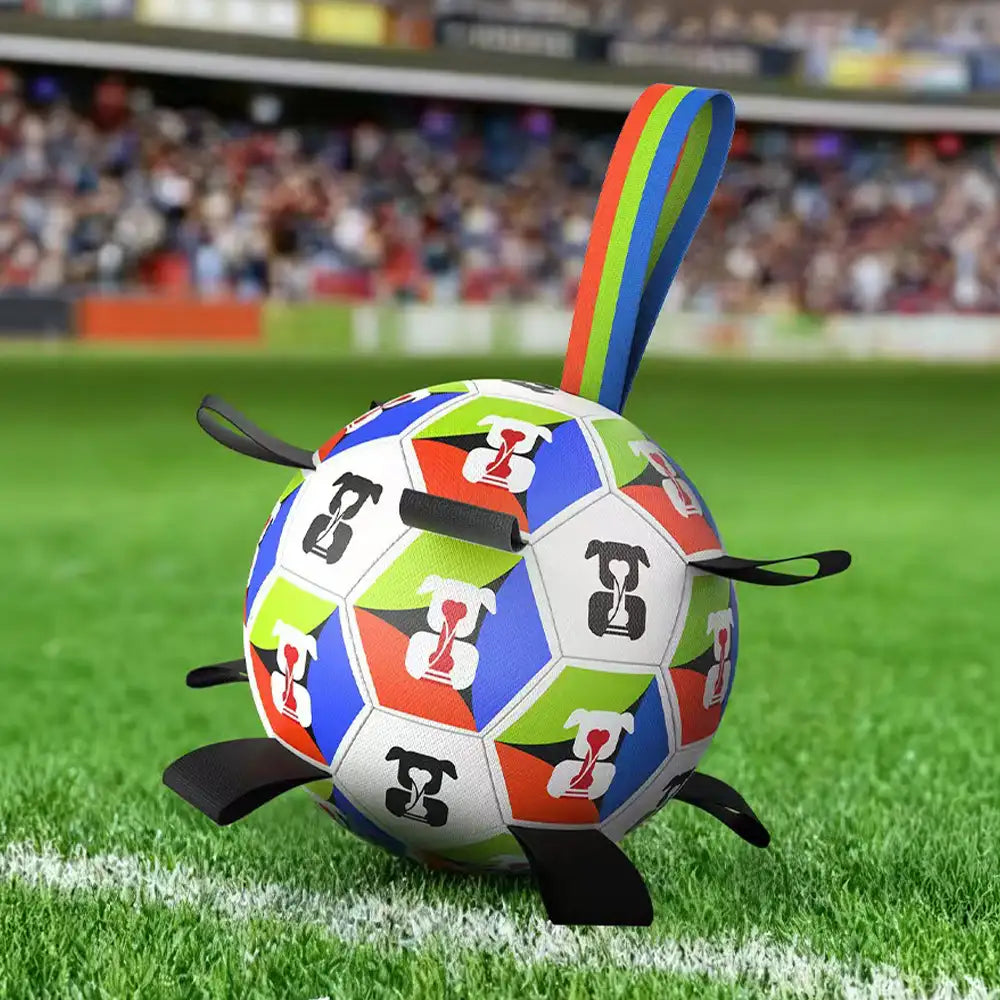 Hundesoccerball mit Riemen interaktives Spielzeug