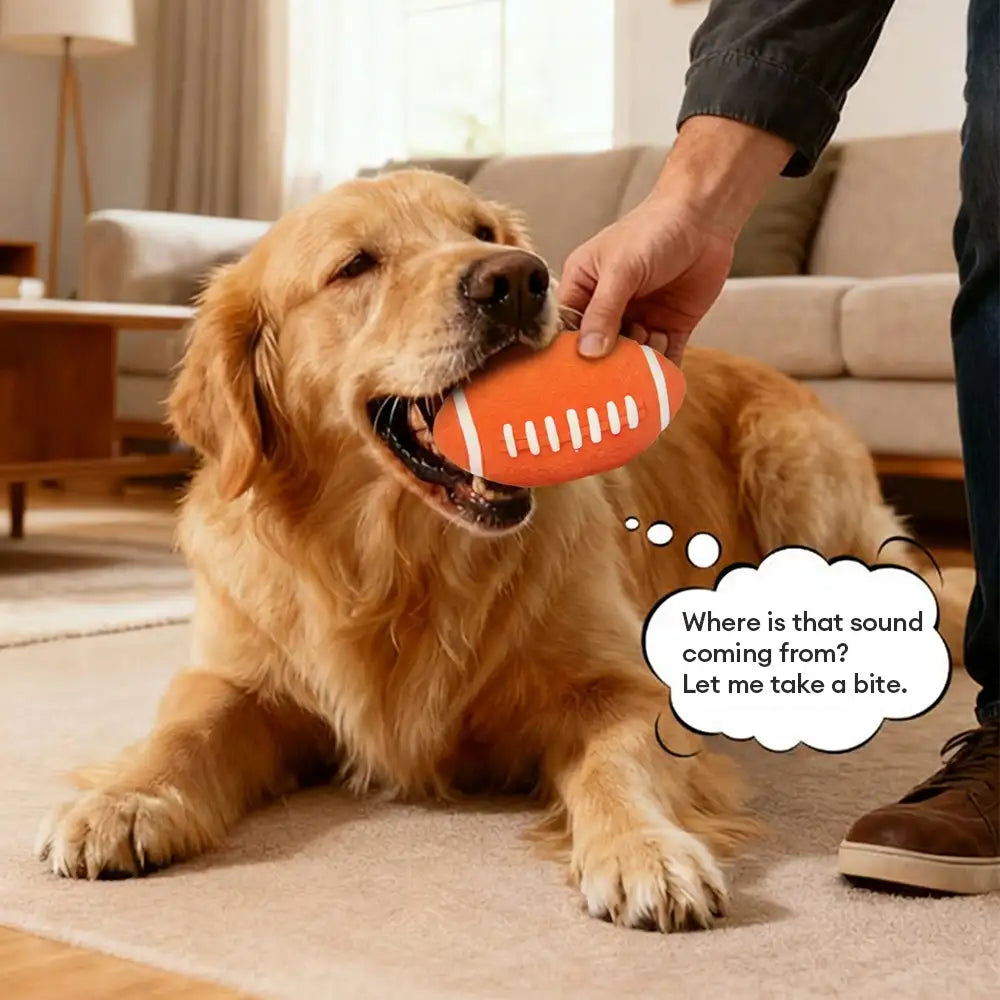 Haltbares Latex-Beißspielzeug für Hunde mit Quitscher