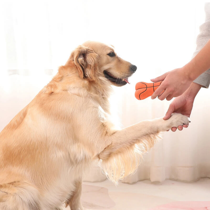 Robustes Quietschknochenspielzeug für Hunde