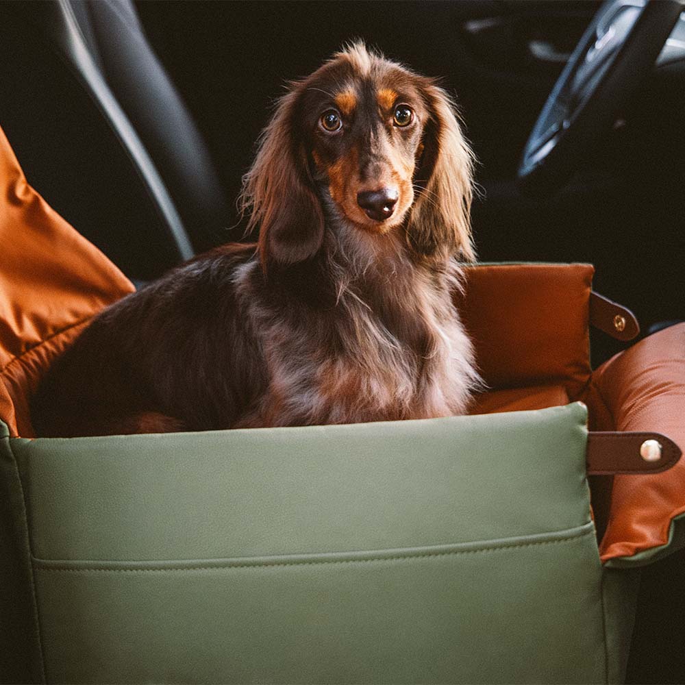 Erhöhtes Deluxe-Autositzbett für Hunde aus Kunstleder - Urban Voyager