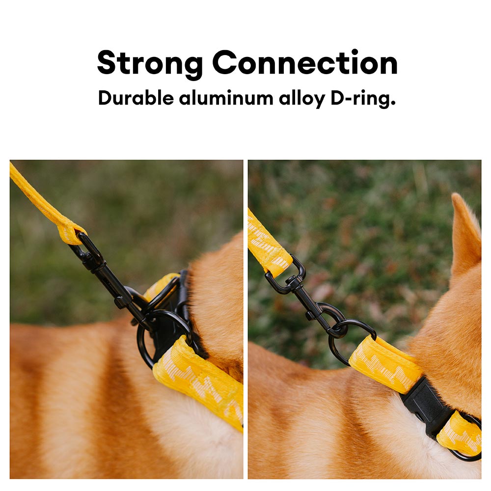 FUNNYFUZZY Verstellbares Strapazierfähiges Hundehalsband aus Nylon – Flexi Walker