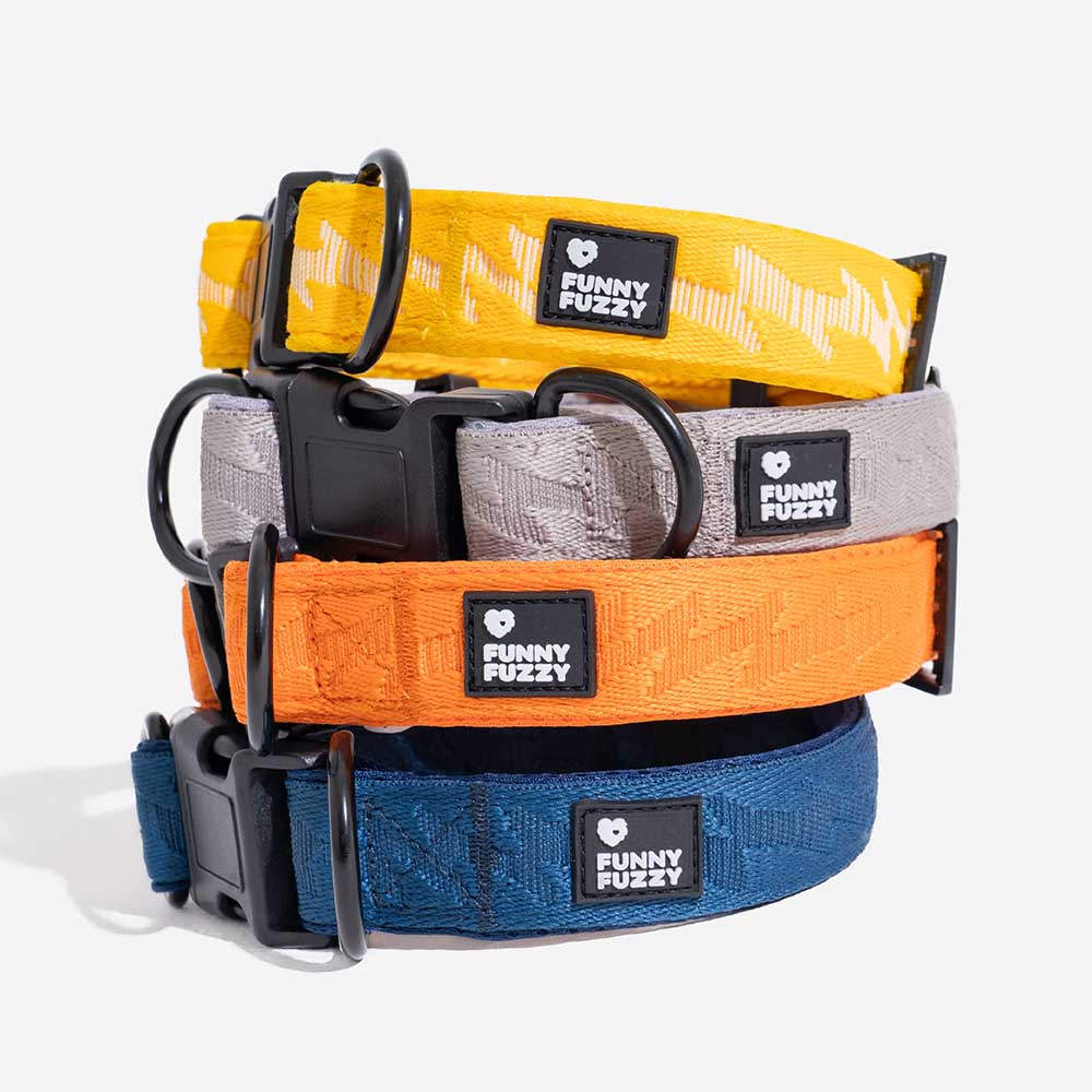 FUNNYFUZZY Verstellbares Strapazierfähiges Hundehalsband aus Nylon – Flexi Walker