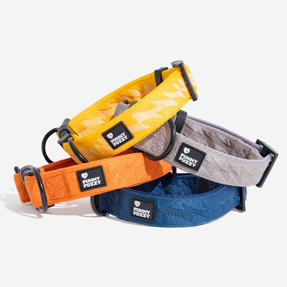 FUNNYFUZZY Verstellbares Strapazierfähiges Hundehalsband aus Nylon – Flexi Walker