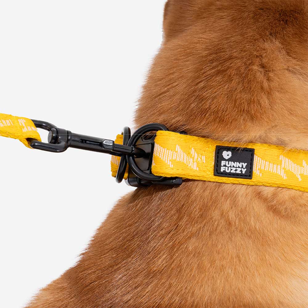 FUNNYFUZZY Verstellbares Strapazierfähiges Hundehalsband aus Nylon – Flexi Walker