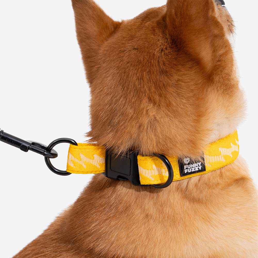 FUNNYFUZZY Verstellbares Strapazierfähiges Hundehalsband aus Nylon – Flexi Walker