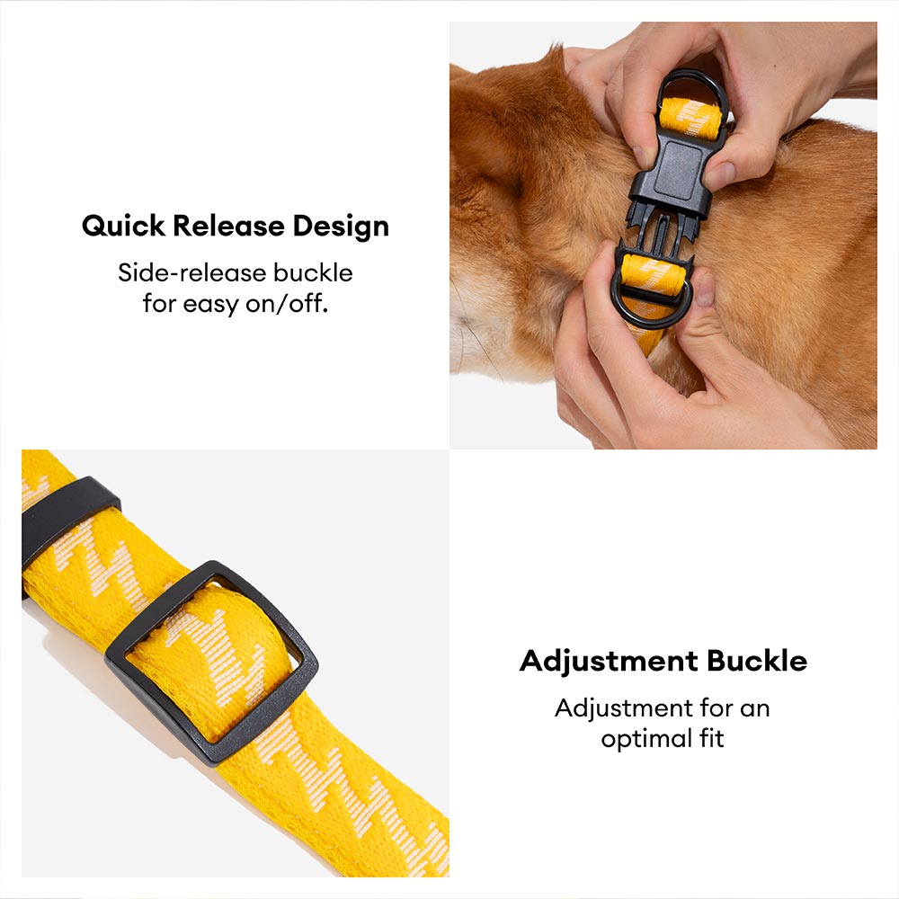 FUNNYFUZZY Verstellbares Strapazierfähiges Hundehalsband aus Nylon – Flexi Walker