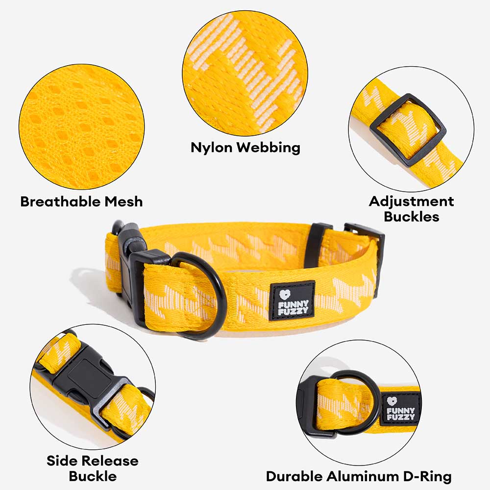 FUNNYFUZZY Verstellbares Strapazierfähiges Hundehalsband aus Nylon – Flexi Walker