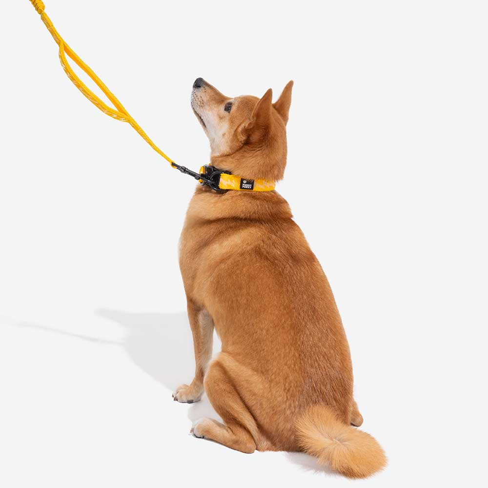 FUNNYFUZZY Verstellbares Strapazierfähiges Hundehalsband aus Nylon – Flexi Walker