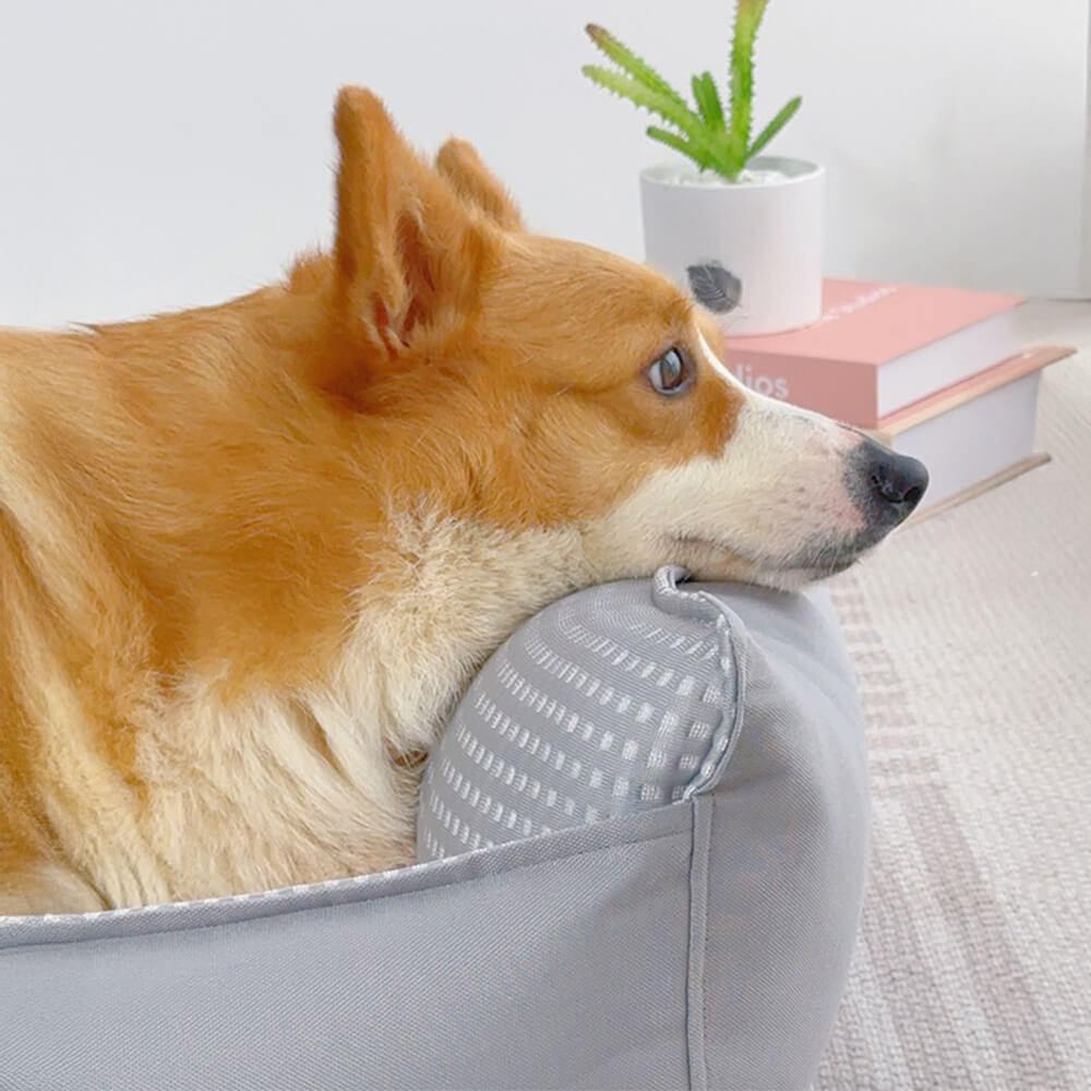 Fluffiges atmungsaktives kühlendes waschbares Hundesofa-Bett