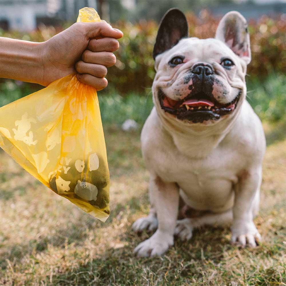 FunnyFuzzy Zitrusduftende Haltbare Recyclebare Kotbeutel - Frisch Auf