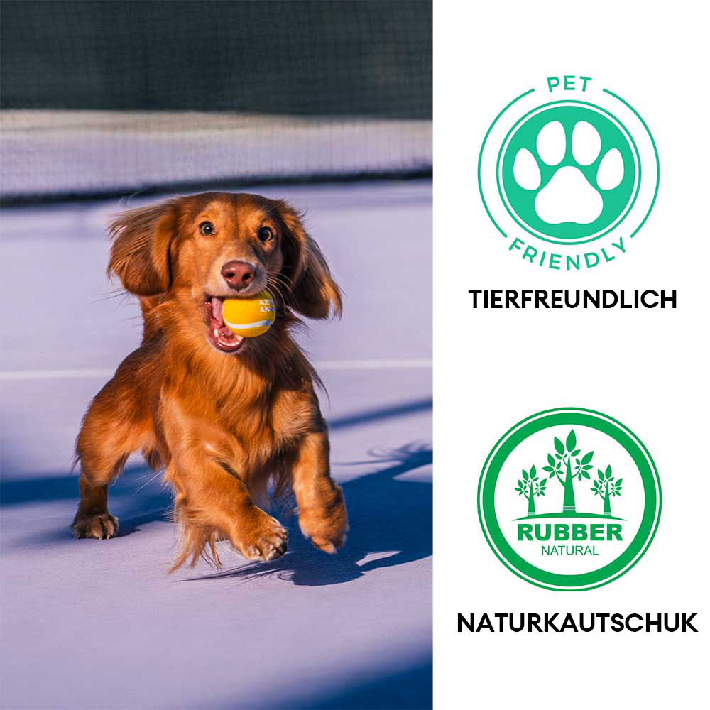Tennisball Hundespielzeug Quietschen & Hüpfen