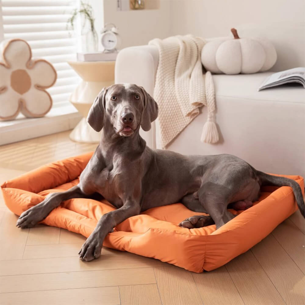 Wasserfeste, haresistente Oxford-Stoff-Hundematte mit minimalistischer Gestaltung