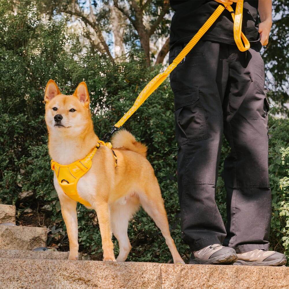 FUNNYFUZZY Reflektierendes Verstellbares Outdoor-Hundegeschirr - Flexi Walker