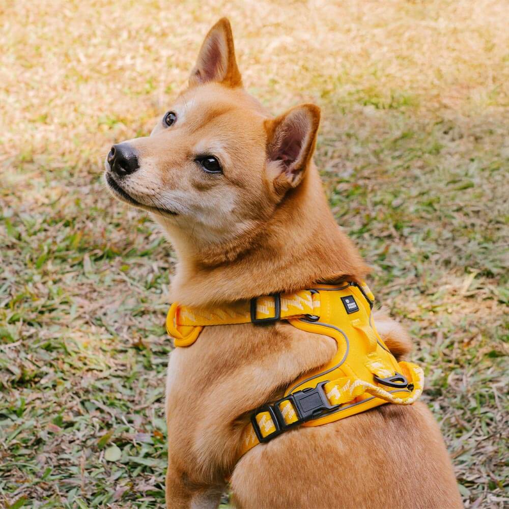 FUNNYFUZZY Reflektierendes Verstellbares Outdoor-Hundegeschirr - Flexi Walker