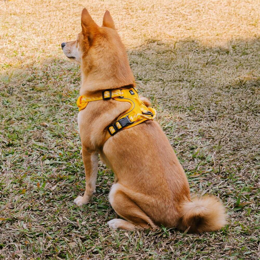 FUNNYFUZZY Reflektierendes Verstellbares Outdoor-Hundegeschirr - Flexi Walker
